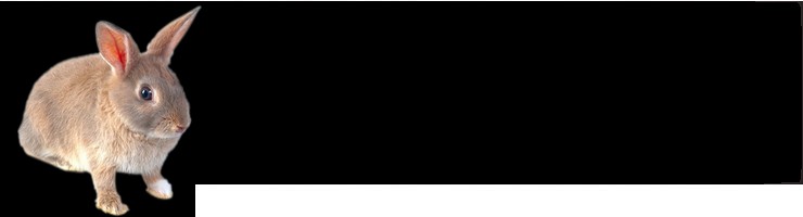 logo_black_rabbit_2147215