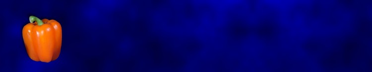 logo_vegetable_blue_18564654