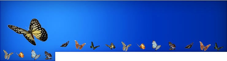logo_blue_butterfly_178621